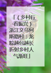（乡村行·看振兴）浙江义乌何斯路村：龙粽越包越长折射乡村人气渐旺