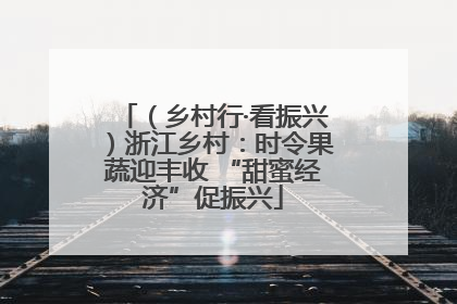 （乡村行·看振兴）浙江乡村：时令果蔬迎丰收 “甜蜜经济”促振兴