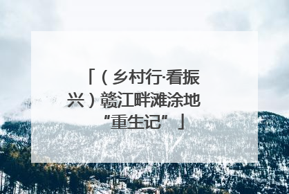 （乡村行·看振兴）赣江畔滩涂地“重生记”