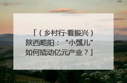 （乡村行·看振兴）陕西略阳：“小瓢儿”如何撬动亿元产业？