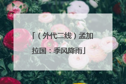 （外代二线）孟加拉国：季风降雨