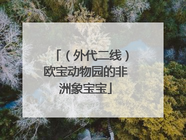（外代二线）欧宝动物园的非洲象宝宝