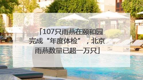 107只雨燕在颐和园完成“年度体检”，北京雨燕数量已超一万只