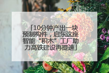 10分钟产出一块预制构件，启东这座智能“积木”工厂助力高铁建设再提速