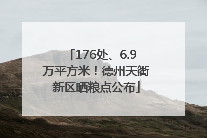 176处、6.9万平方米！德州天衢新区晒粮点公布