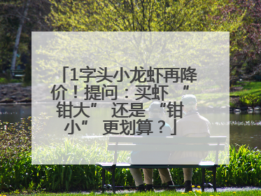 1字头小龙虾再降价！提问：买虾 “钳大” 还是 “钳小” 更划算？