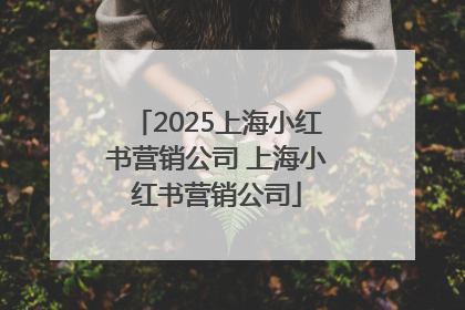 2025上海小红书营销公司 上海小红书营销公司