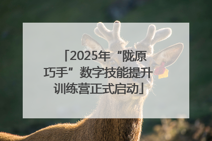 2025年“陇原巧手”数字技能提升训练营正式启动