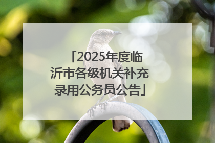 2025年度临沂市各级机关补充录用公务员公告