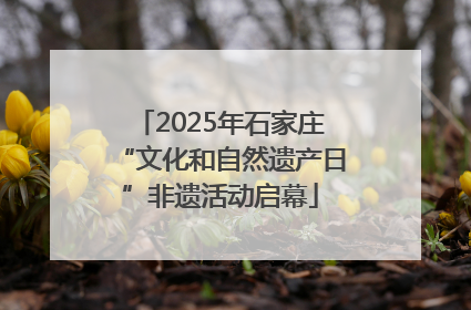 2025年石家庄“文化和自然遗产日”非遗活动启幕