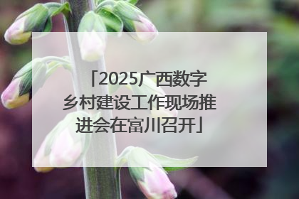2025广西数字乡村建设工作现场推进会在富川召开