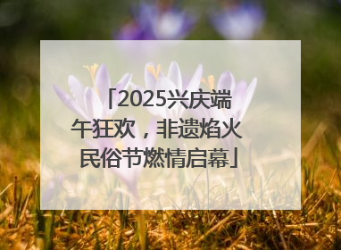 2025兴庆端午狂欢，非遗焰火民俗节燃情启幕