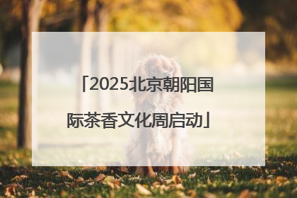 2025北京朝阳国际茶香文化周启动