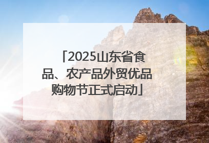 2025山东省食品、农产品外贸优品购物节正式启动