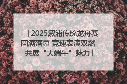 2025溆浦传统龙舟赛圆满落幕 竞速表演双燃 共展“大端午”魅力
