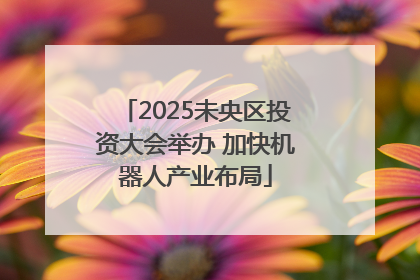 2025未央区投资大会举办 加快机器人产业布局