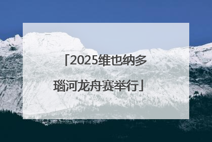 2025维也纳多瑙河龙舟赛举行