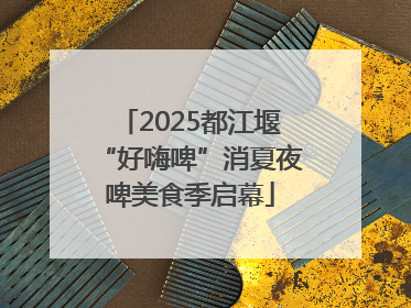 2025都江堰“好嗨啤”消夏夜啤美食季启幕