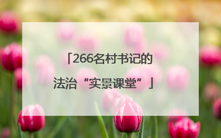 266名村书记的法治“实景课堂”
