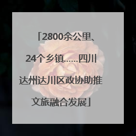 2800余公里、24个乡镇……四川达州达川区政协助推文旅融合发展