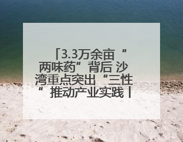 3.3万余亩“两味药”背后 沙湾重点突出“三性”推动产业实践丨新闻发布最前线