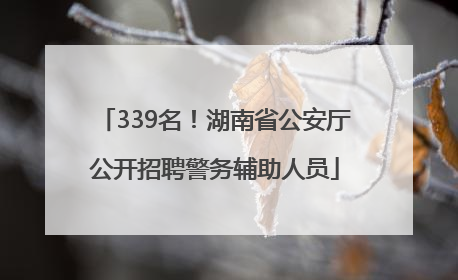 339名！湖南省公安厅公开招聘警务辅助人员