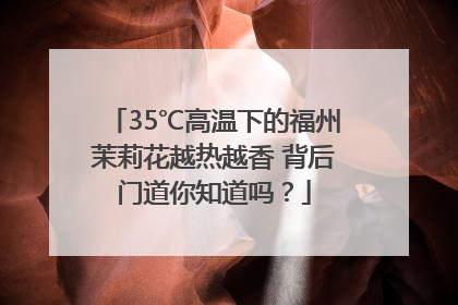 35℃高温下的福州茉莉花越热越香 背后门道你知道吗？