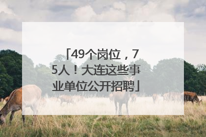 49个岗位，75人！大连这些事业单位公开招聘