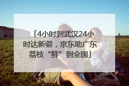 4小时到武汉24小时达新疆，京东助广东荔枝“鲜”到全国