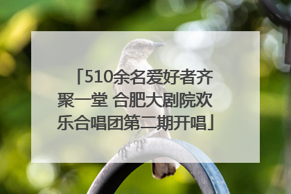 510余名爱好者齐聚一堂 合肥大剧院欢乐合唱团第二期开唱