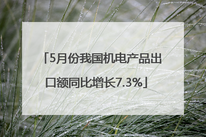 5月份我国机电产品出口额同比增长7.3%