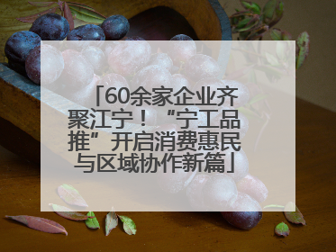 60余家企业齐聚江宁！“宁工品推”开启消费惠民与区域协作新篇