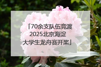 70余支队伍竞渡 2025北京海淀大学生龙舟赛开桨