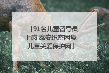91名儿童督导员上岗 泰安织密困境儿童关爱保护网