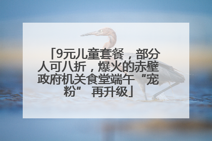 9元儿童套餐，部分人可八折，爆火的赤壁政府机关食堂端午“宠粉” 再升级