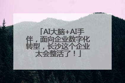 AI大脑+AI手伴，面向企业数字化转型，长沙这个企业太会整活了！