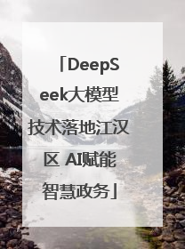 DeepSeek大模型技术落地江汉区 AI赋能智慧政务