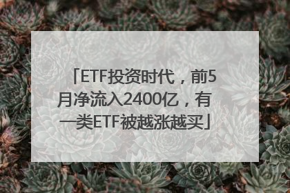 ETF投资时代，前5月净流入2400亿，有一类ETF被越涨越买