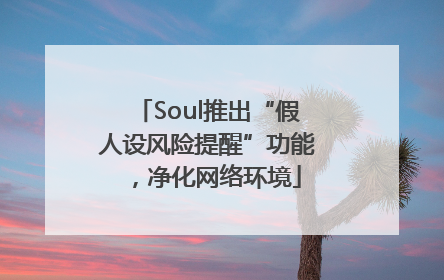 Soul推出“假人设风险提醒”功能，净化网络环境